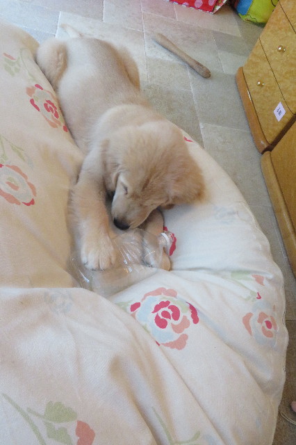 ファイル 6609-4.jpg