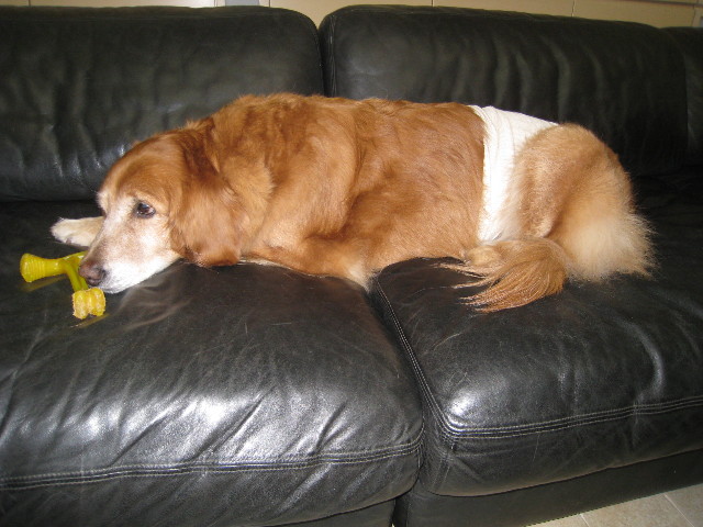 ファイル 661-1.jpg