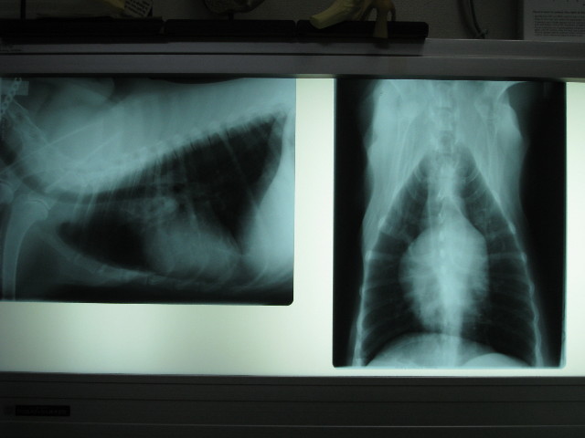 ファイル 661-4.jpg