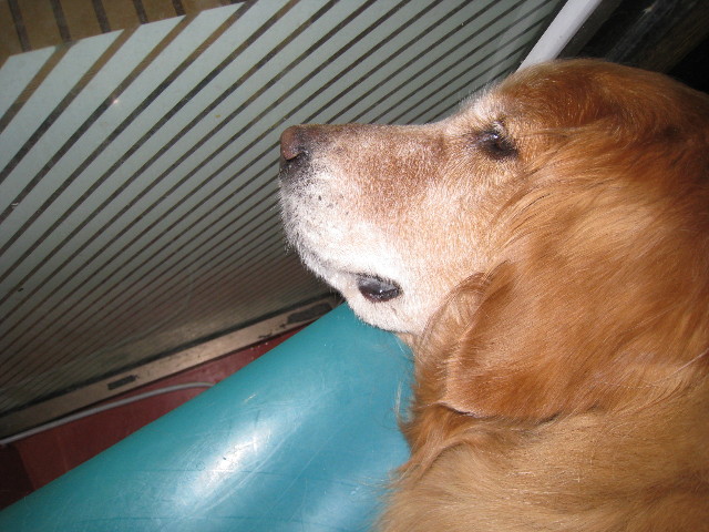 ファイル 661-5.jpg