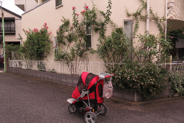 ファイル 6610-2.jpg