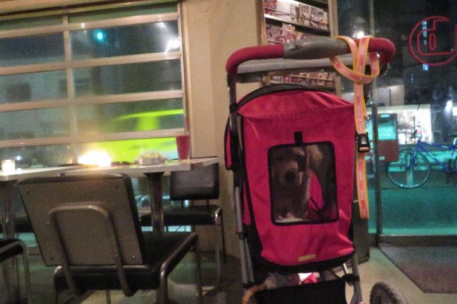 ファイル 6610-3.jpg