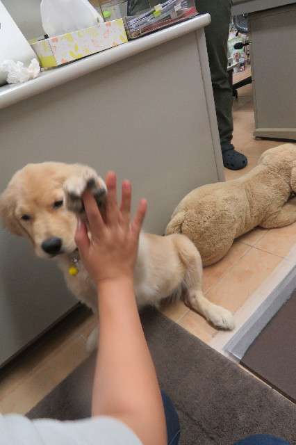 ファイル 6612-3.jpg