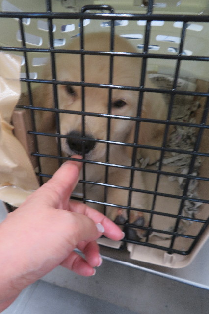 ファイル 6614-1.jpg