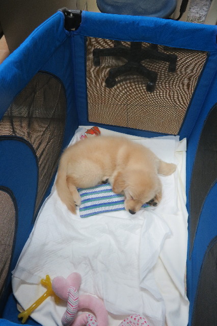 ファイル 6614-2.jpg