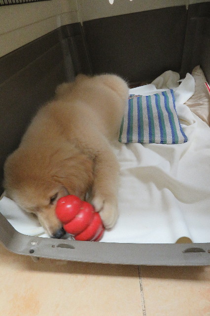 ファイル 6614-3.jpg