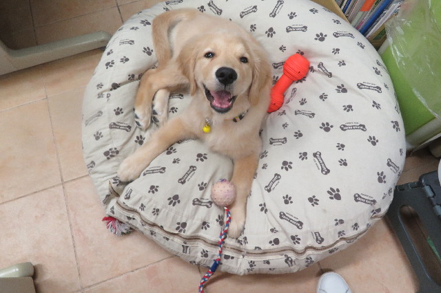 ファイル 6614-4.jpg