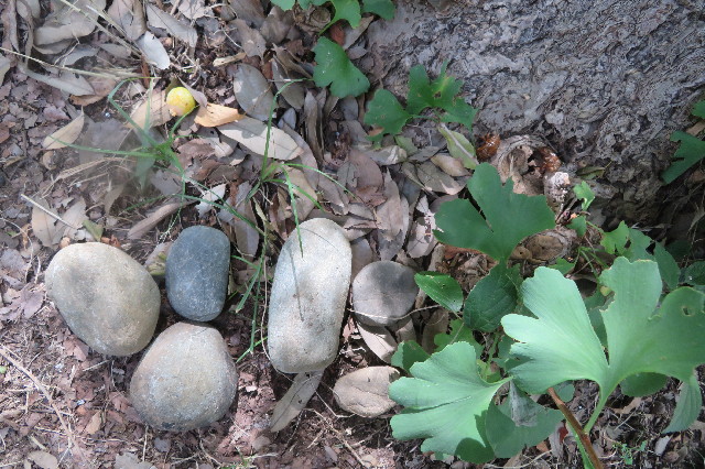 ファイル 6614-5.jpg