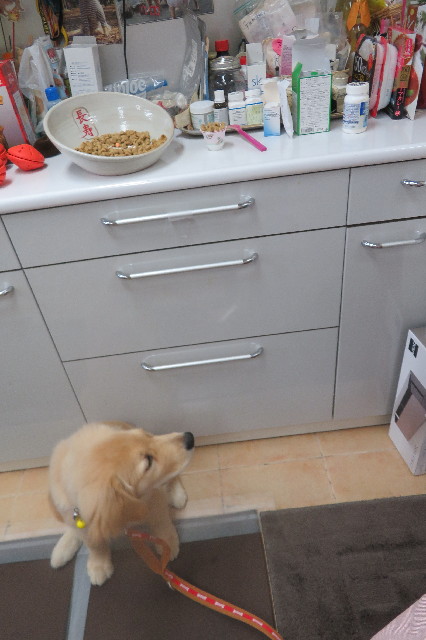 ファイル 6615-1.jpg