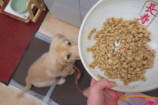 ファイル 6615-2.jpg