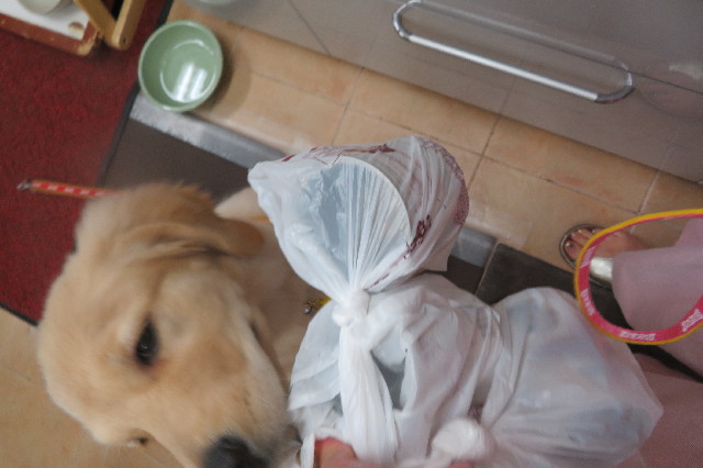 ファイル 6615-3.jpg