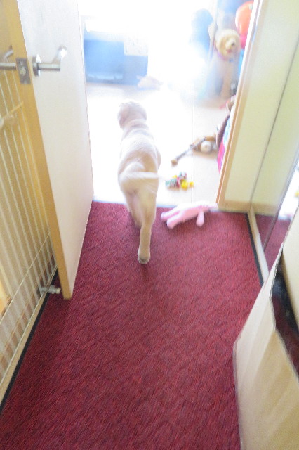 ファイル 6617-2.jpg