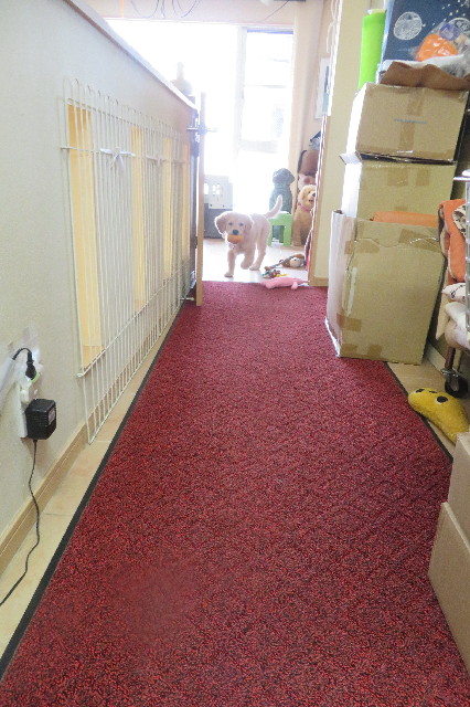 ファイル 6617-4.jpg