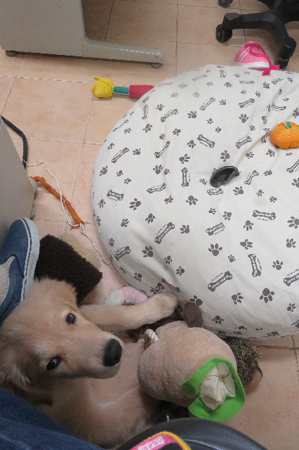 ファイル 6617-5.jpg