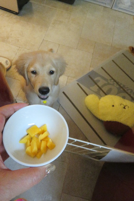 ファイル 6618-1.jpg