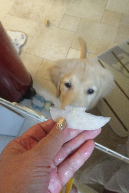 ファイル 6618-2.jpg