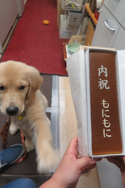 ファイル 6618-4.jpg