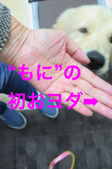 ファイル 6618-5.jpg