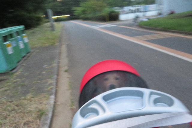 ファイル 6619-1.jpg