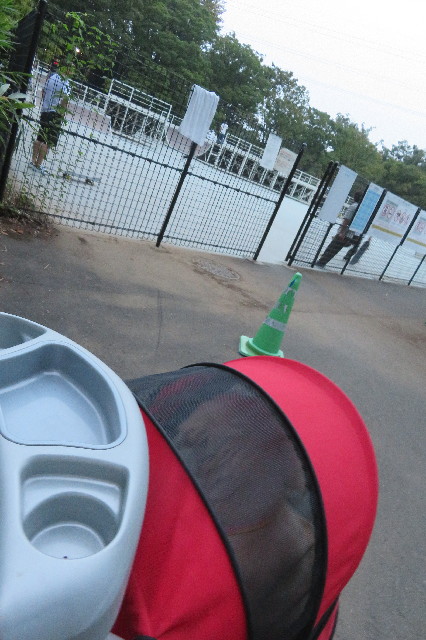 ファイル 6619-2.jpg