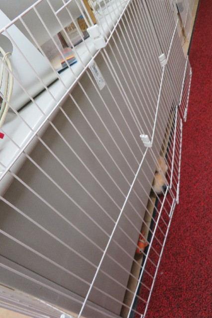 ファイル 6619-4.jpg