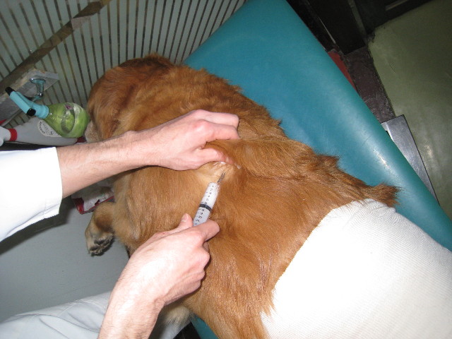 ファイル 662-1.jpg