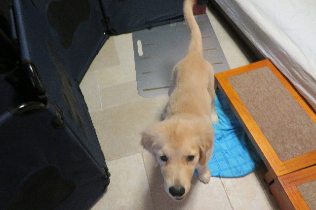 ファイル 6624-3.jpg