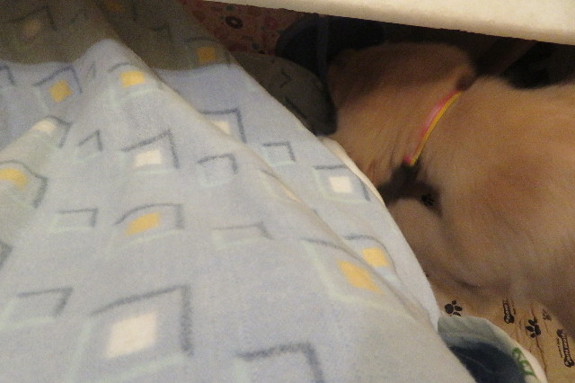 ファイル 6626-4.jpg