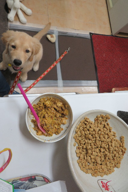 ファイル 6627-1.jpg