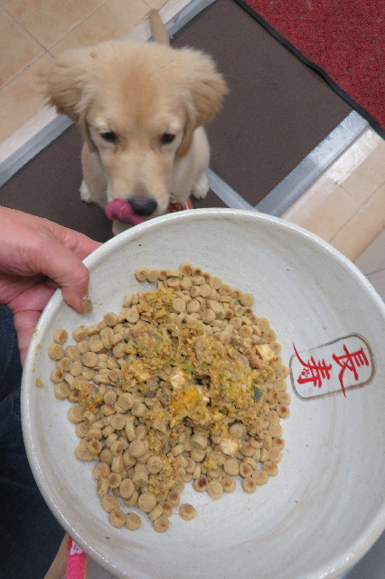 ファイル 6627-2.jpg