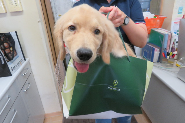 ファイル 6627-4.jpg