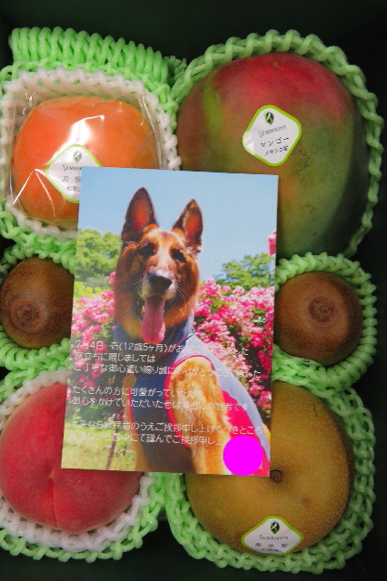 ファイル 6627-5.jpg