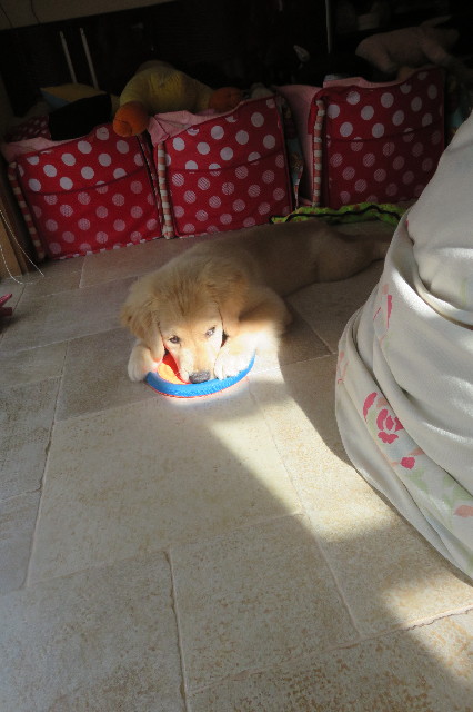 ファイル 6629-1.jpg