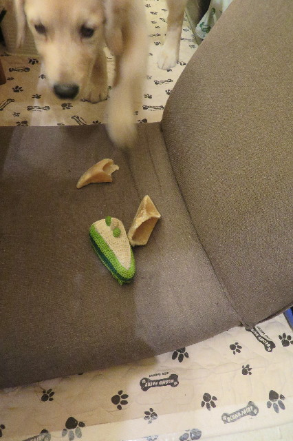 ファイル 6629-5.jpg