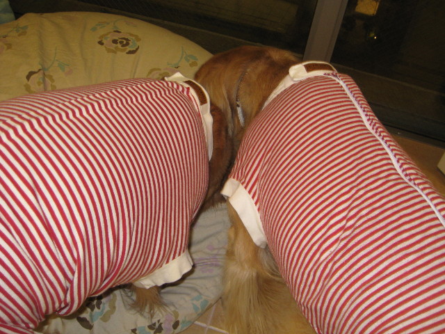 ファイル 663-4.jpg