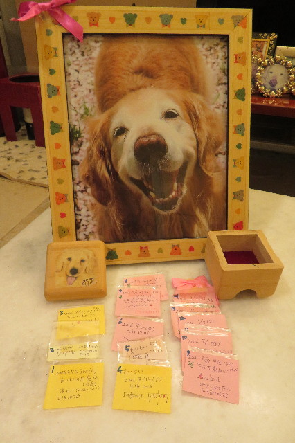 ファイル 6630-3.jpg