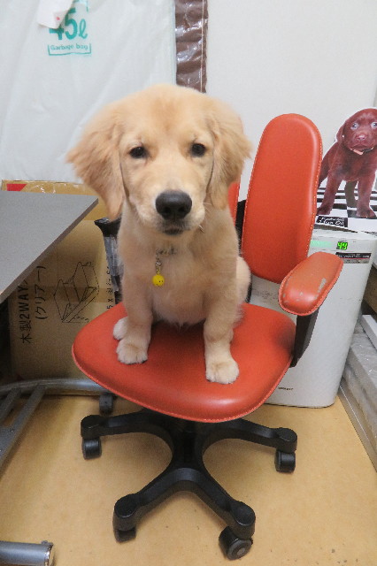 ファイル 6631-2.jpg