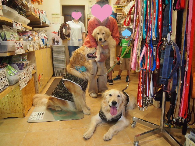 ファイル 6632-3.jpg