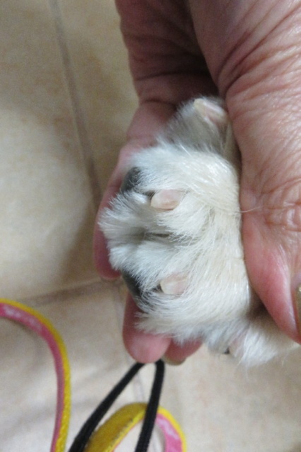 ファイル 6634-2.jpg