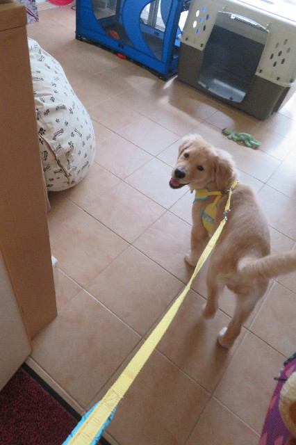 ファイル 6634-5.jpg