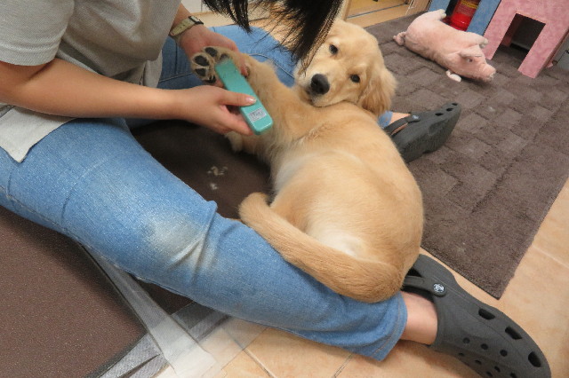 ファイル 6635-1.jpg