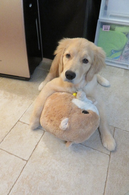 ファイル 6637-1.jpg