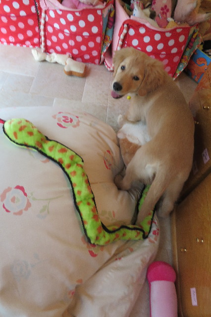 ファイル 6637-2.jpg