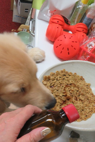 ファイル 6638-2.jpg