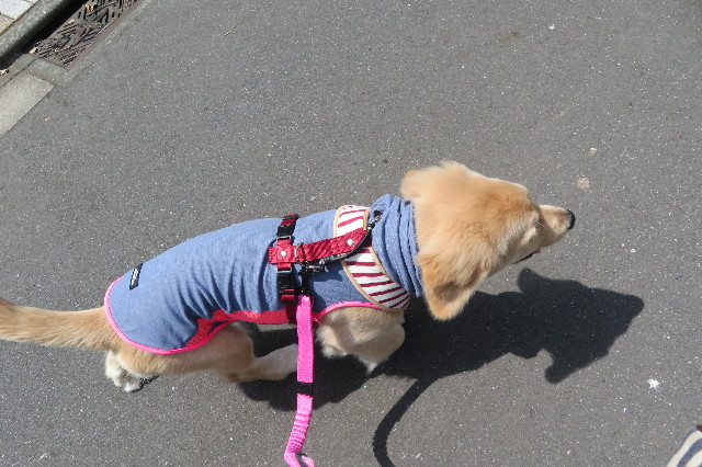 ファイル 6639-2.jpg