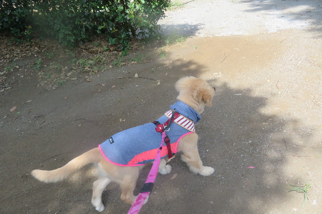 ファイル 6639-4.jpg