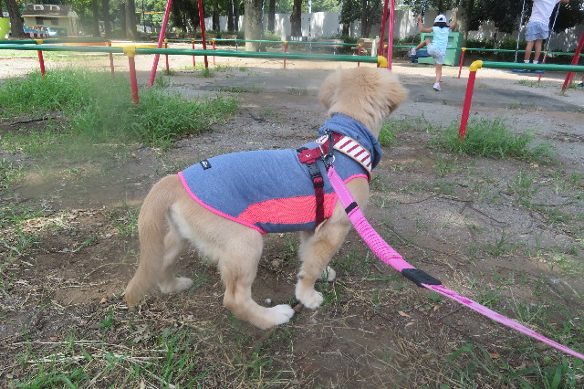 ファイル 6639-5.jpg