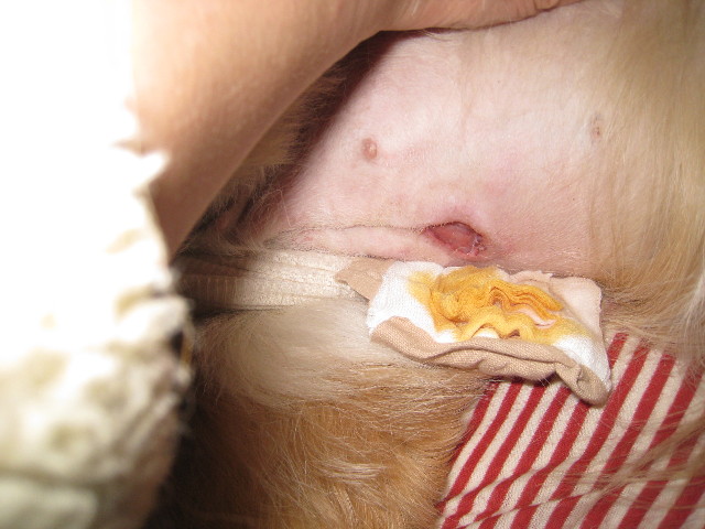 ファイル 664-3.jpg