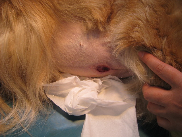 ファイル 664-4.jpg