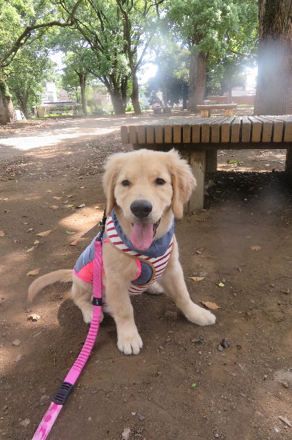 ファイル 6640-2.jpg